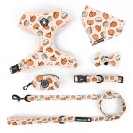 犬用背带厂家-设计师加固D环战术背心