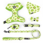 犬用背带套装厂家-定制奇异果印花防爆冲软垫