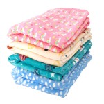 犬用垫子供应商-定制个性化珊瑚绒毯