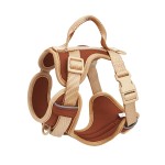 法国斗牛犬背带供应商-定制糖果色聚酯橡胶