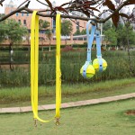 犬用球支架厂家-免提PVC网球投掷玩具