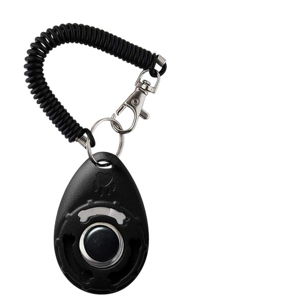 宠物训练响片厂家-定制塑料腕带