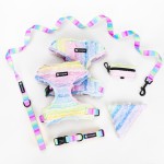 宠物项圈套装生产商-定制花卉图案独特设计