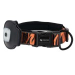 犬用项圈生产商-批发定制发光LED豹纹