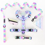 宠物项圈套装生产商-定制花卉图案独特设计