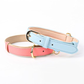 犬用牵引绳生产商-防水4合1训练