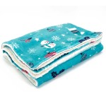 犬用垫子供应商-定制个性化珊瑚绒毯