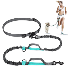 Dog Leash Set Manufacturer - Nylon Adjustable Hands Free Elastic