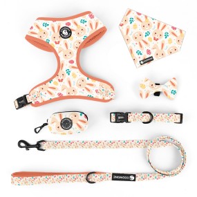 Dog Harness Set Supplier - Custom Easter Adjustable Poop Bag Holder