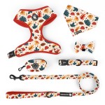 犬用背带厂家-设计师加固D环战术背心