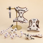 犬用背带供应商-奢华刺绣钩针设计师跑步