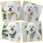 犬用背带套装供应商-氯丁橡胶奢华可调背心