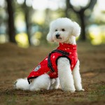 宠物卫衣供应商-可定制冬季设计师服装