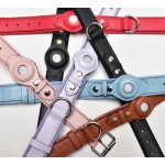 犬用牵引绳生产商-防水4合1训练