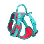 法国斗牛犬背带供应商-定制糖果色聚酯橡胶