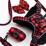 防爆冲犬背带厂家-可调牛津反光训练