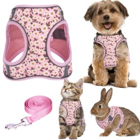 Dog Harness Set Supplier - Neoprene Luxury Adjustable Vest Design