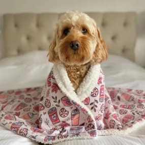 Pet Blanket Factory - Wholesale Luxury Flannel Fleece Christmas