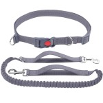 犬用牵引绳生产商-免提可调反光弹力