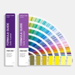 犬用项圈生产商-手工PVC涂层安全快扣