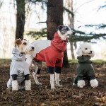 宠物卫衣供应商-可定制冬季设计师服装