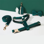 犬用项圈供应商-私标奢华ID标签牵引