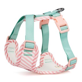 Dog Harness Supplier - Fashion Style Adjustable No-Pull Embroidery