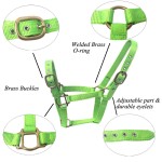 马训练笼头厂家-可定制耐用尼龙强扣