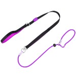 狗训练绳厂家-耐用圆形尼龙带手柄