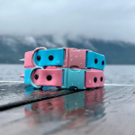 狗项圈厂家-豪华彩色防水PVC对比色