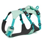 狗背带套装厂家-厂家批发低价起订加固