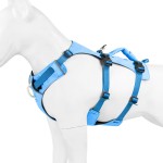 宠物背心背带厂家-轻量户外反光易携带