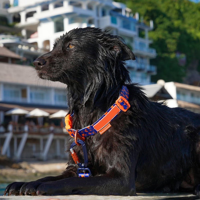 狗牵绳厂家-防水防臭360度旋转