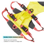 狗背带套装厂家-热销双排软手柄