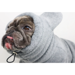 宠物服装厂家-狗熊猫服装保暖可洗棉