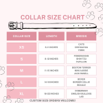 狗项圈厂家-可定制耐用手柄防水