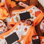 宠物背带厂家-时尚氯丁橡胶加垫套脚式