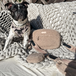 狗散步包厂家-热销免提带牵引绳项圈