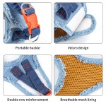 狗背带套装厂家-低价起订优质可定制logo