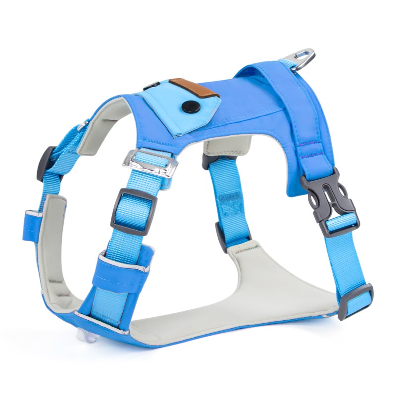 狗背带厂家-可定制豪华轻量网眼加垫