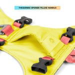 狗背带套装厂家-热销双排软手柄