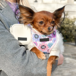 狗零食袋厂家-优质肩包带便袋分配器