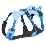 宠物背心背带厂家-轻量户外反光易携带