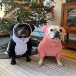 宠物服装厂家-狗熊猫服装保暖可洗棉