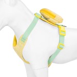 狗背心背带厂家-加垫防爆可定制印花