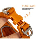 宠物背心厂家-可定制反光空气网眼徒步背带