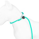 狗滑链厂家-坚固耐用登山尼龙