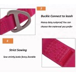 狗项圈厂家-发光LED亮灯夜光