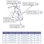 马笼头厂家-热销阿拉伯尼龙可自主设计