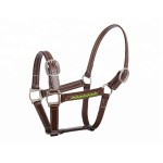 马笼头厂家-阿拉伯彩色PVC带软垫